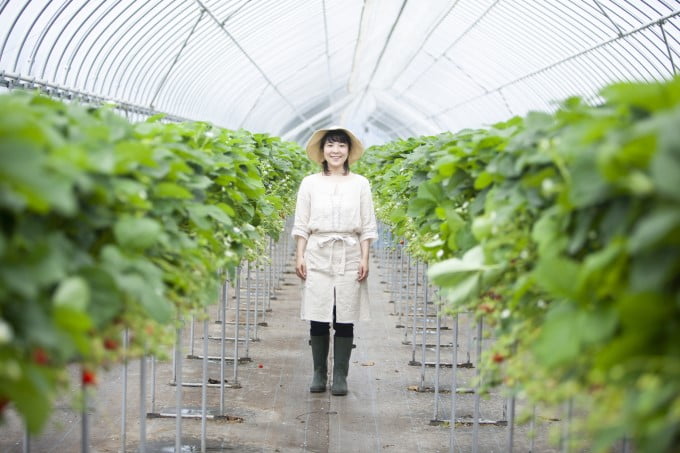 栃木県で派遣をはじめてみたい方へ おすすめの派遣会社をご紹介 派遣会社カタログ